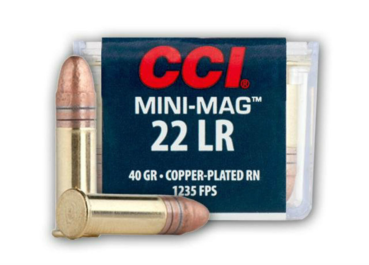 22 LR CCI Mini